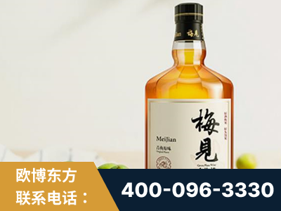 阜康-梅见青梅酒